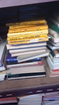 Prodám hodně knih více než 1000 kusů - 4