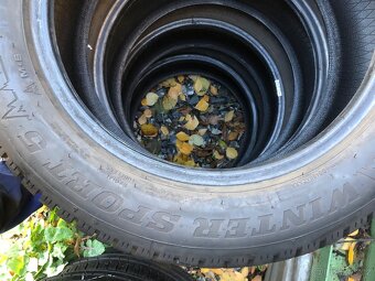 Dunlop WinterSport5 205/55R16 - 4