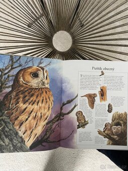 Moje velká kniha Zvířata v přírodě - 4