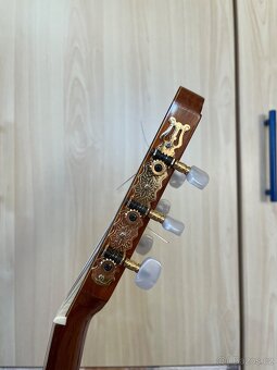 Kytara španělská - 4