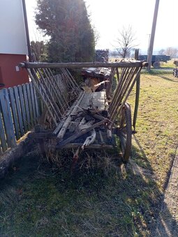 Žebřiňák-vůz - 4