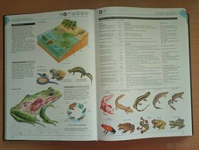 Velká obrazová všeobecná encyklopedie - 4