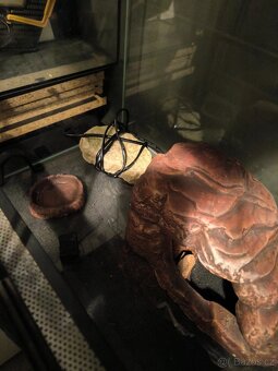 Terarium pro zaby a jine - 4