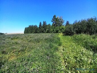 Pozemek vhodný pro komerční využití o výměře 3.444 m2, Králo - 4