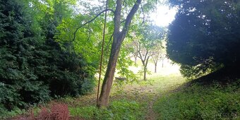 Pronájem zahrady - 4