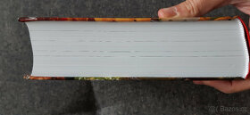 česká domácí kuchařka (Jaroslav Vašák) - 4