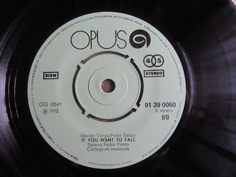 SP Collegium Musicum - If you Want to Fall - 4