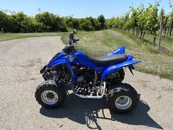 Yamaha Raptor 350R - 4