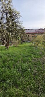 Zahrada v Hostinném - 4
