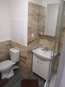 Byt 2+1+Balkon Rekonstrukce Zadní Vinohrady TOP Chom - 4