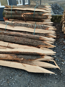 Prodám dubové kůly - 4