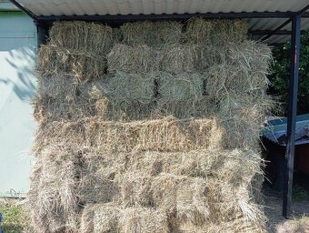 Pšenice 22e a seno 2.7 e kus - 4