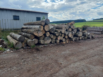 Palivové dřevo - 4