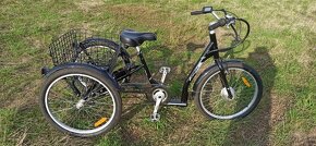 Elektrická tříkolka EASYBIKE Auriga - 4