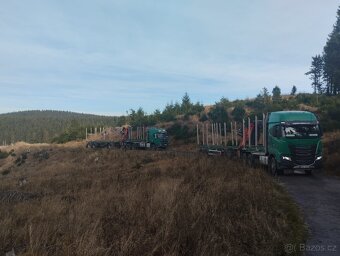 Řidič C E odvoz dříví, okolí Štětí,Teplá, Děčín,Sokolov - 4