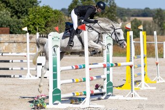 PONY TYP B NA PRODEJ - 4