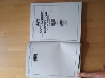 Muž s dýmkou a houslemi - 4