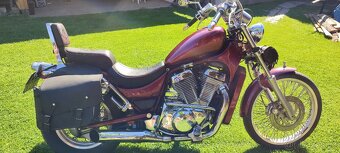 SUZUKI VS 800 - 4