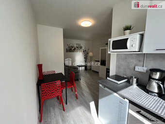 Pronájem bytu 1+kk, 18 m2, Kačice - 4