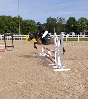 Sportovní pony - 4