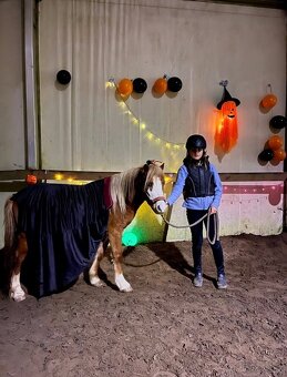 WELSH MOUNTAIN PONY PRO DĚTI - 4