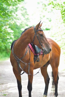 Pronájem Valáška - 4