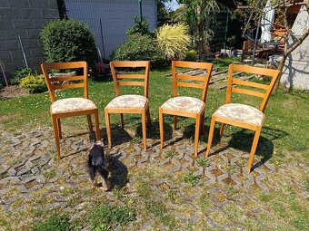čtyři polstrované židle k jídelnímu stolu - 4