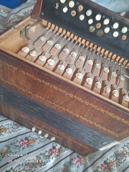 Heligonky Hohner a ligna - 4