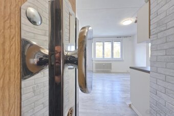 Pronájem, byt, 1+1, 35 m2, Kadaň ul. Na Podlesí, ev.č. 00661 - 4
