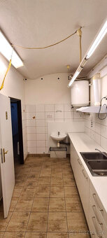 Pronájem obchodního/výrobního prostoru, 71m2, Mirošov - 4