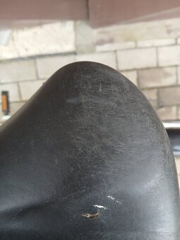 Damske kolo Author - 4