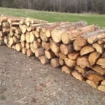 Prodej dřeva na topení - 4