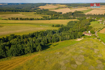 Prodej louky, 6183 m², Albrechtice nad Vltavou - 4