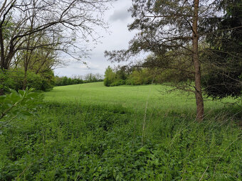 Prodej chaty 14 m2. Budkovice, pozemek 744 m2 - 4