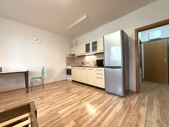 Pronájem bytu 1+kk, Goldscheiderova, Plzeň, Kč/měs, 30 m2 - 4