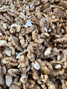 Prodám jádra vlašských ořechů - 4