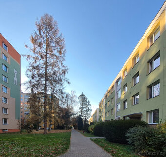 Prodej bytu 62,25 m2, Svitavy, Předměstí, Revoluční - 4