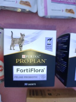 Strava pro kočičku s nemocnými ledvinami - 4