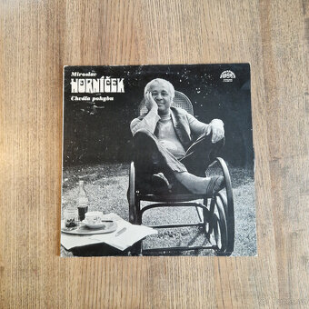 22x LP vinyl, české, různé žánry #4 - 4