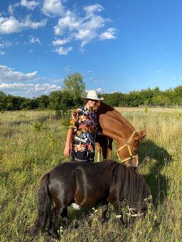 Docházka ke koním - 4