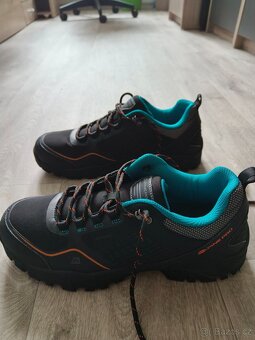 ALPINE PRO LITTON - 4