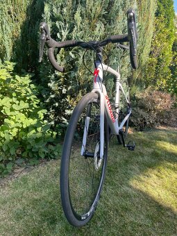 Silniční kolo Specialized Roubaix Comp - vel 56 - 4