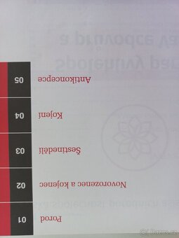 Trilogie Těhotenství, Porod a Dítě – Antonín Pařízek - 4