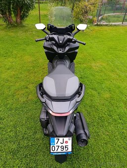 Honda forza 125 - 4