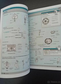 Biologie v kostce - 4