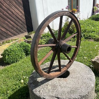 LOUKOŤOVÉ KOLO 59cm - 4