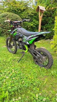 Pitbike KXD 609/125ccm - 4
