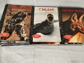 Natural Killers 19ks DVD - 4