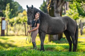 Klisna pony 147khv na rekreaci i sport - 4