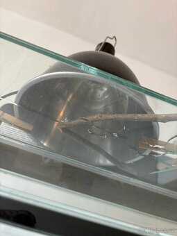 Terárium +flexárium - 4